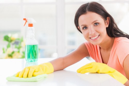 Professional window cleaning for Marylebone period homes and apartments
