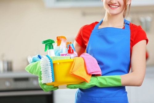Curtain cleaning service for Marylebone period homes and apartments