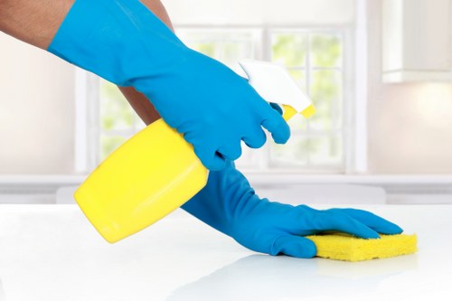 Stain treatment on a mattress during a local cleaning visit