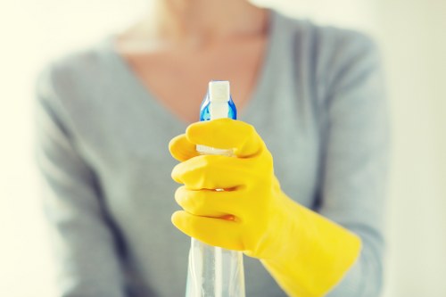 Professional deep cleaning service for a Marylebone apartment interior