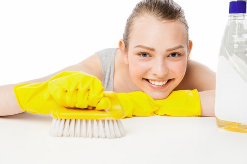 Professional stain removal for carpet in a Marylebone home