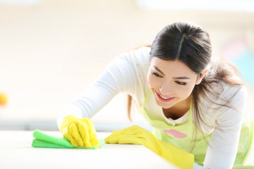 Kitchen deep cleaning in a Marylebone home with detailed surface care
