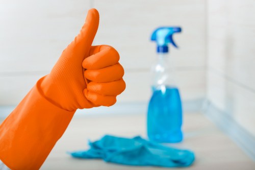 Local cleaner handling access and property care in central London