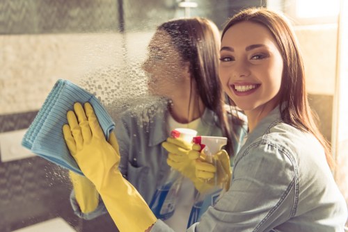 Odour removal process for a sofa affected by pet accidents in Marylebone