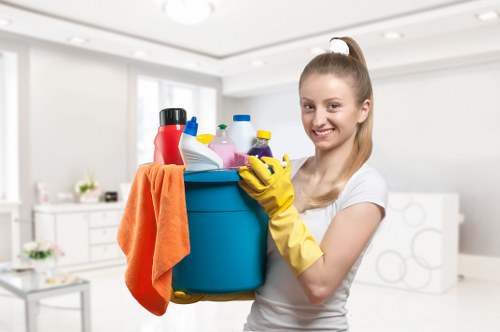 Deep mattress cleaning service for a London flat